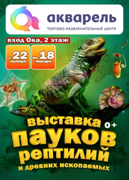 Выставка пауков, рептилий и древних ископаемых