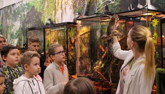 Выставка пауков, рептилий и древних ископаемых