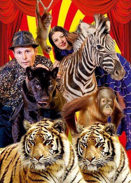 Цирк-шапито «Арена Макао», Камышин