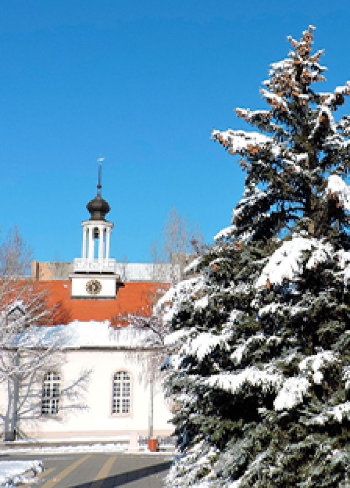 Музыка готических соборов. Органный концерт