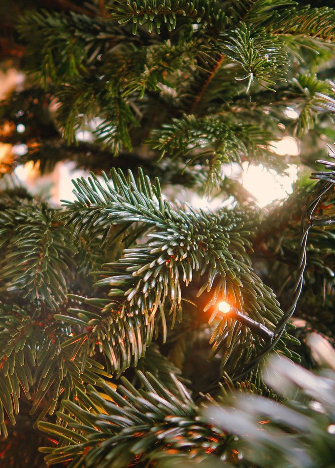 Новогодний крафт