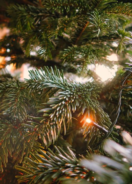 Новогодний крафт