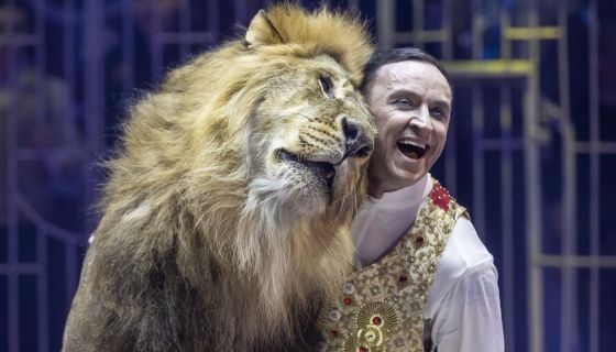 Шоу фонтанов «Принц цирка»