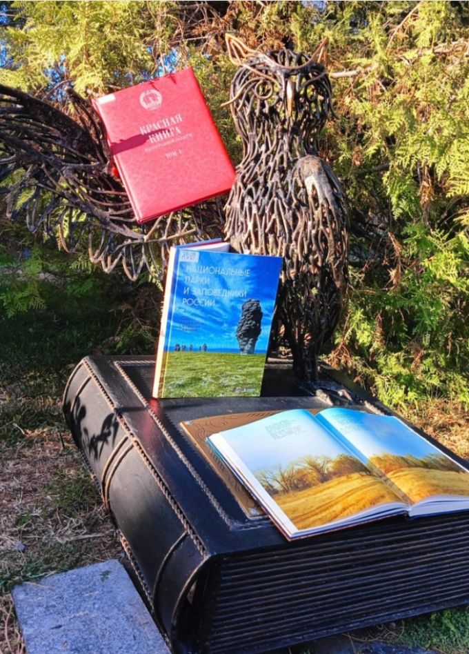 Интерактивная программа «Семь чудес света» Волгоградской области»