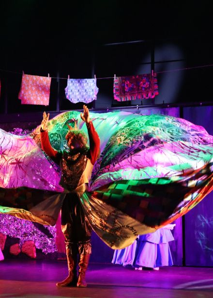 Чёрная курица