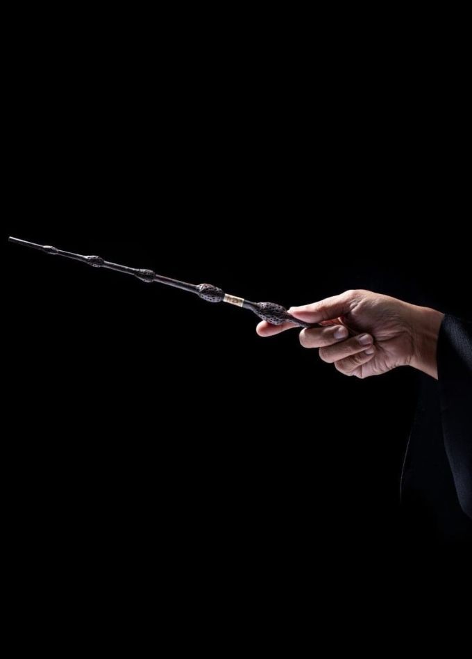 Оркестр Sonorus. Гарри Поттер