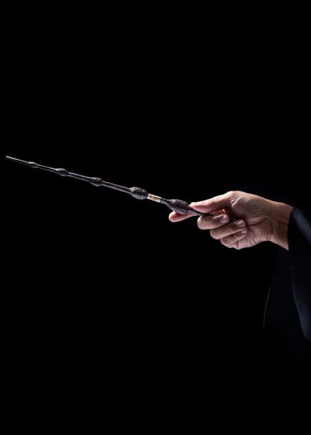 Оркестр Sonorus. Гарри Поттер