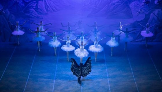 Балет «Лебединое озеро», Фролово