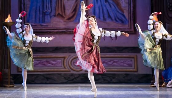 Балет «Лебединое озеро», Фролово