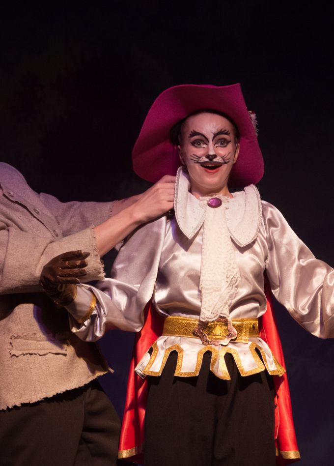 Кот в сапогах