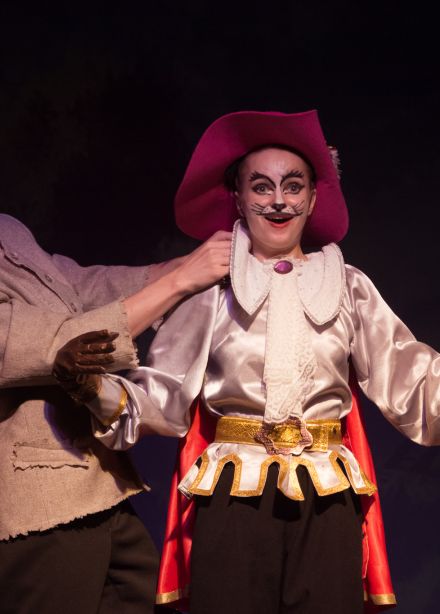 Кот в сапогах