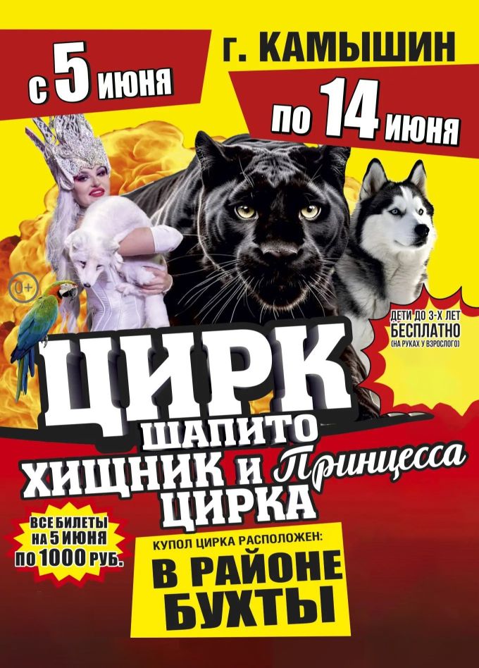 Цирк-шапито «Циркуслэнд». Шоу «Хищник и принцесса цирка», Камышин