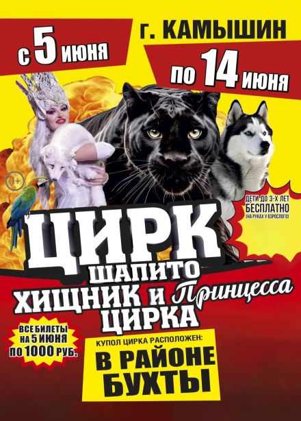 Цирк-шапито «Циркуслэнд». Шоу «Хищник и принцесса цирка», Камышин