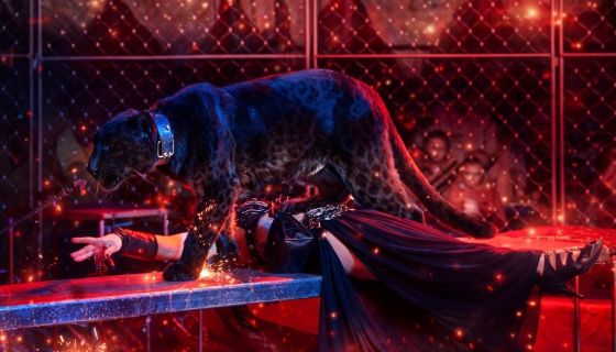 Цирк-шапито «Циркуслэнд». Шоу «Хищник и принцесса цирка», Камышин