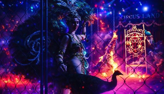 Цирк-шапито «Циркуслэнд». Шоу «Хищник и принцесса цирка», Камышин