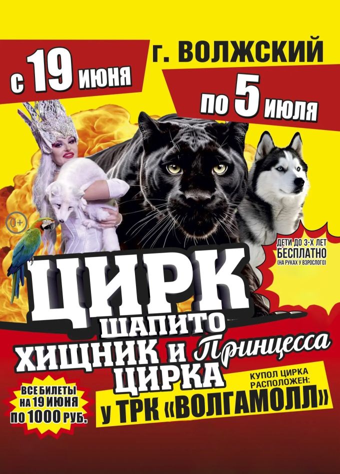 Цирк-шапито «Циркуслэнд». Шоу «Хищник и принцесса цирка», Волжский