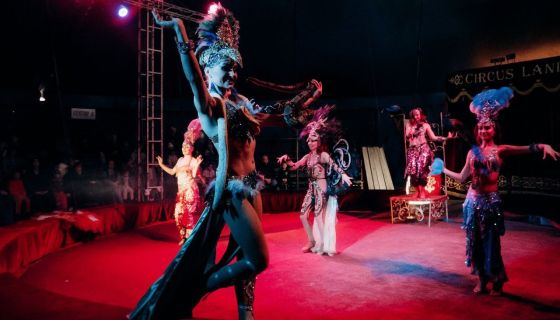 Цирк-шапито «Циркуслэнд». Шоу «Хищник и принцесса цирка», Волжский