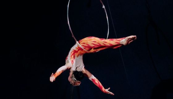 Цирк-шапито «Циркуслэнд». Шоу «Хищник и принцесса цирка», Волжский