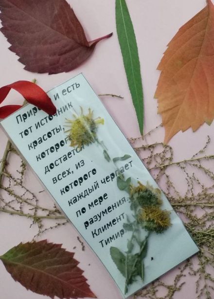 Мастер-класс по изготовлению закладки-гербария: Остановись, мгновение