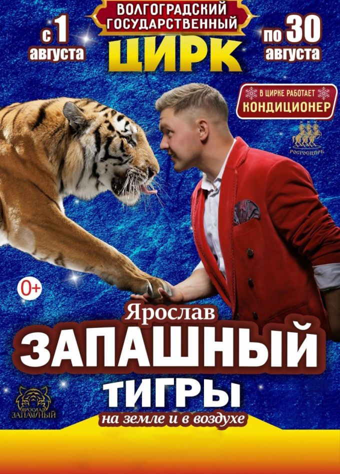 Цирк Ярослава Запашного «Тигры на земле и в воздухе»