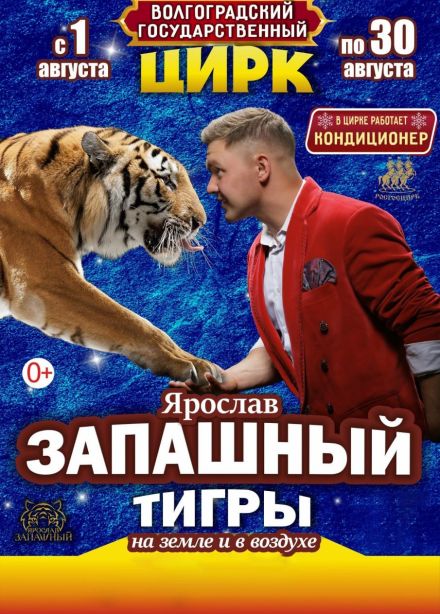 Цирк Ярослава Запашного «Тигры на земле и в воздухе»
